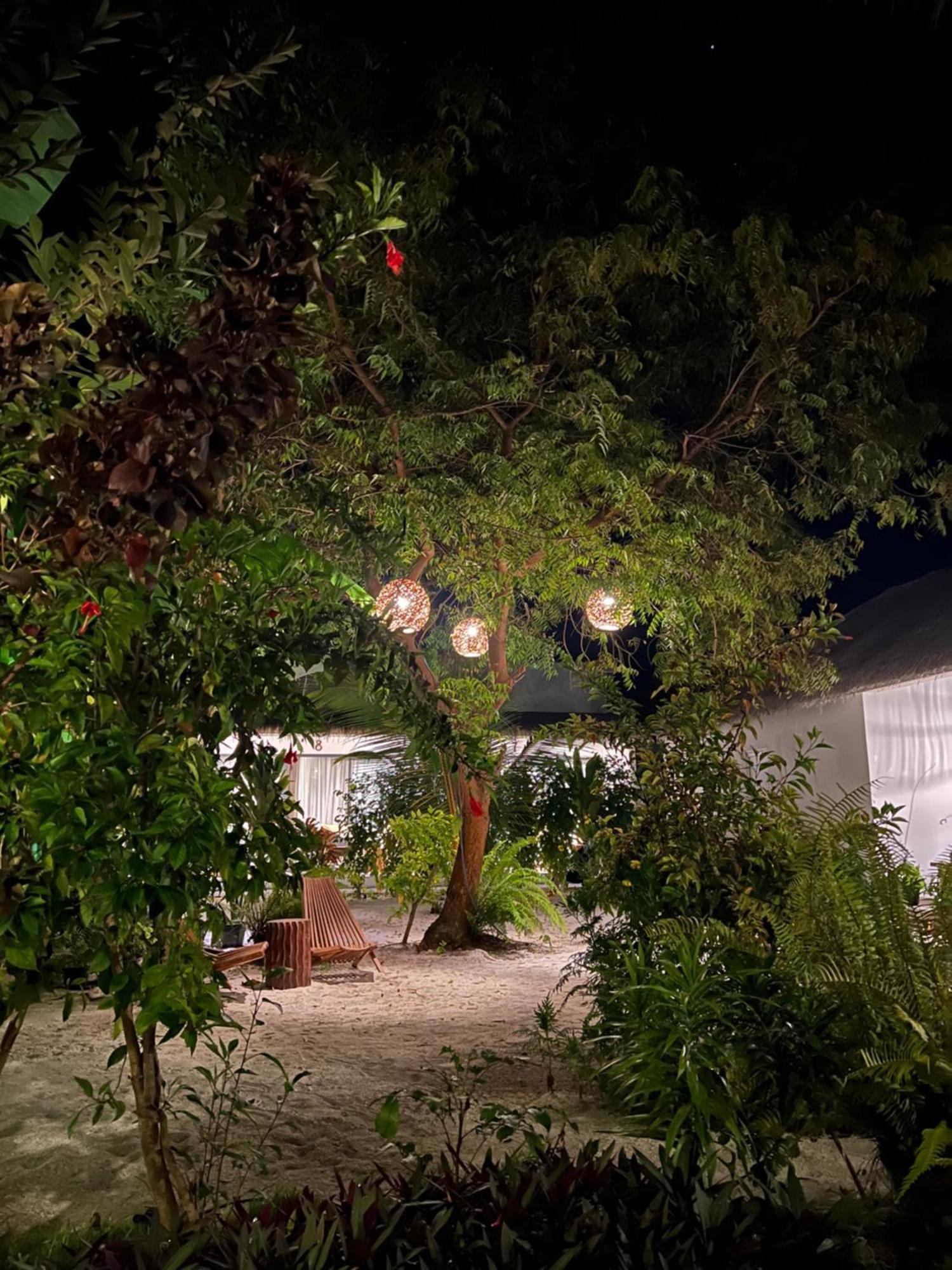 Coco Villa Thoddoo Ngoại thất bức ảnh