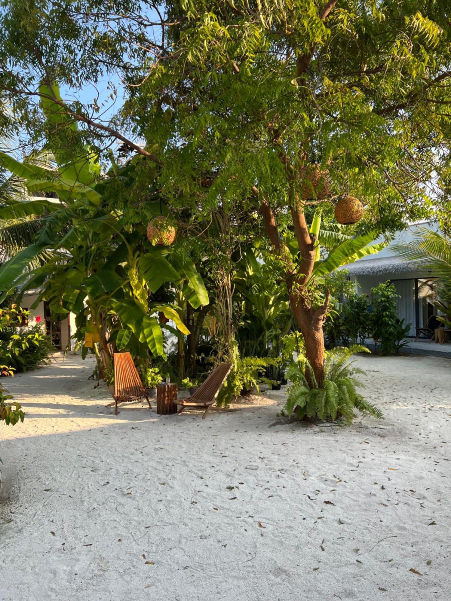 Coco Villa Thoddoo Ngoại thất bức ảnh